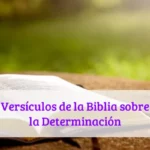 Versículos de la Biblia sobre la Determinación