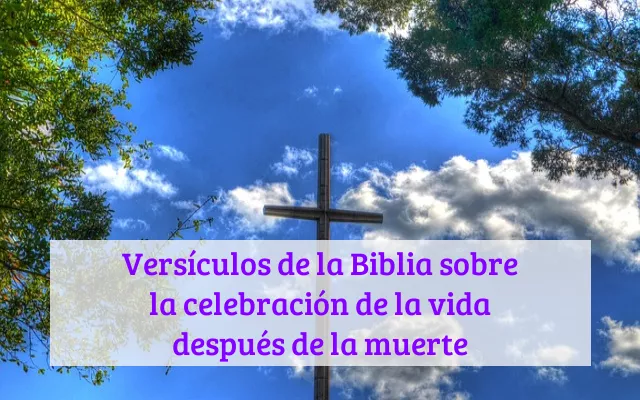 Versículos de la Biblia sobre la celebración de la vida después de la muerte