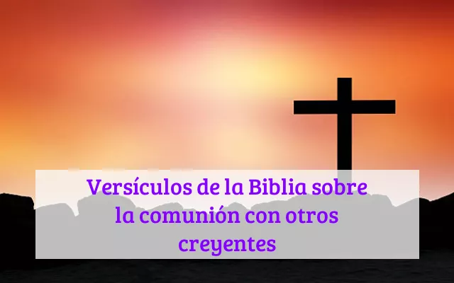 Versículos de la Biblia sobre la comunión con otros creyentes