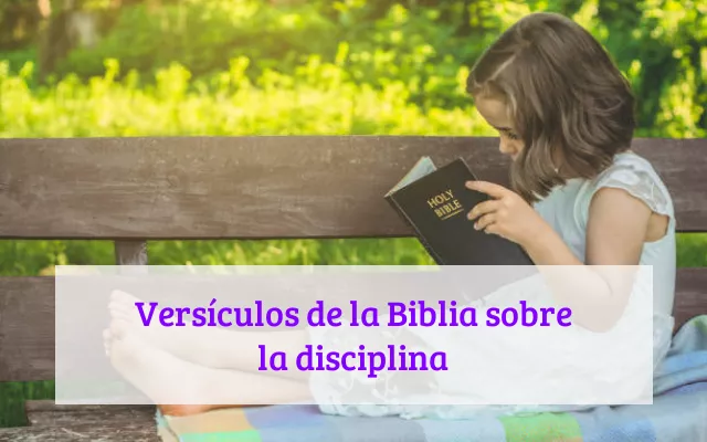 Versículos de la Biblia sobre la disciplina