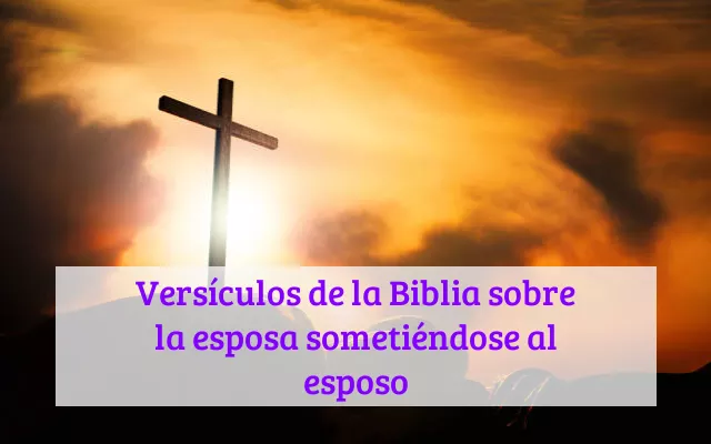 Versículos de la Biblia sobre la esposa sometiéndose al esposo