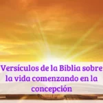 Versículos de la Biblia sobre la vida comenzando en la concepción