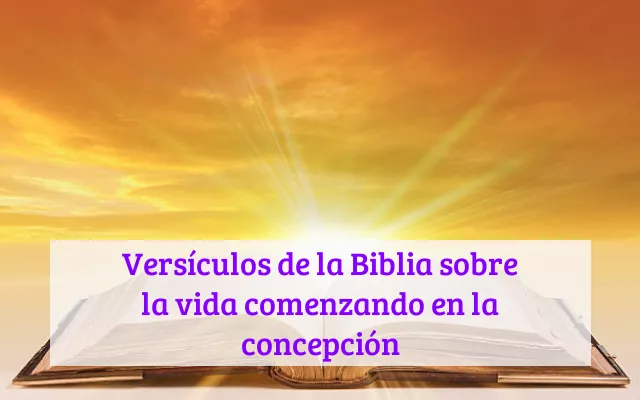 Versículos de la Biblia sobre la vida comenzando en la concepción