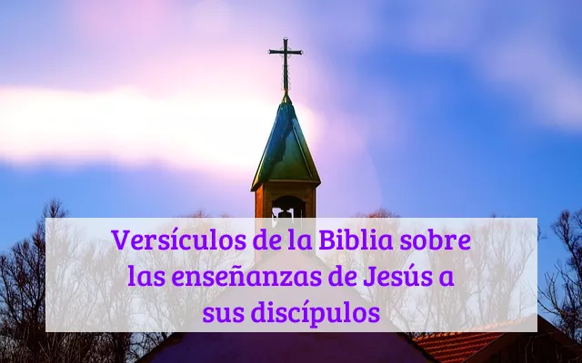 Versículos de la Biblia sobre las enseñanzas de Jesús a sus discípulos