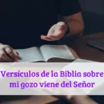 Versículos de la Biblia sobre mi gozo viene del Señor