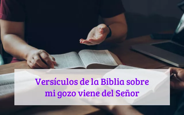 Versículos de la Biblia sobre mi gozo viene del Señor