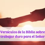 Versículos de la Biblia sobre trabajar duro para el Señor